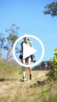 BIB:  <button type="button" onclick="openModal(26598538)" class="btn btn-primary btn-sm float-right" data-toggle="modal" data-target=".modal-high-quality">
                <i class="fa fa-download"></i> Download
                </button>